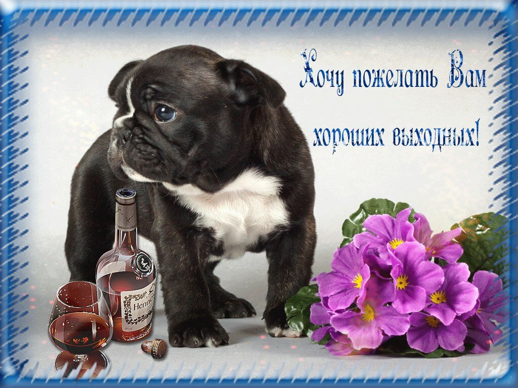 ������������, �������� ��� ��������