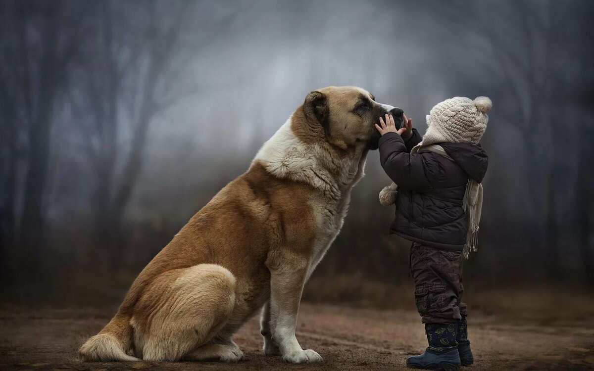 �������� ������������