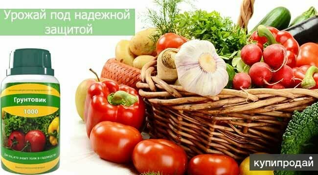 грунтовик 1000 фото