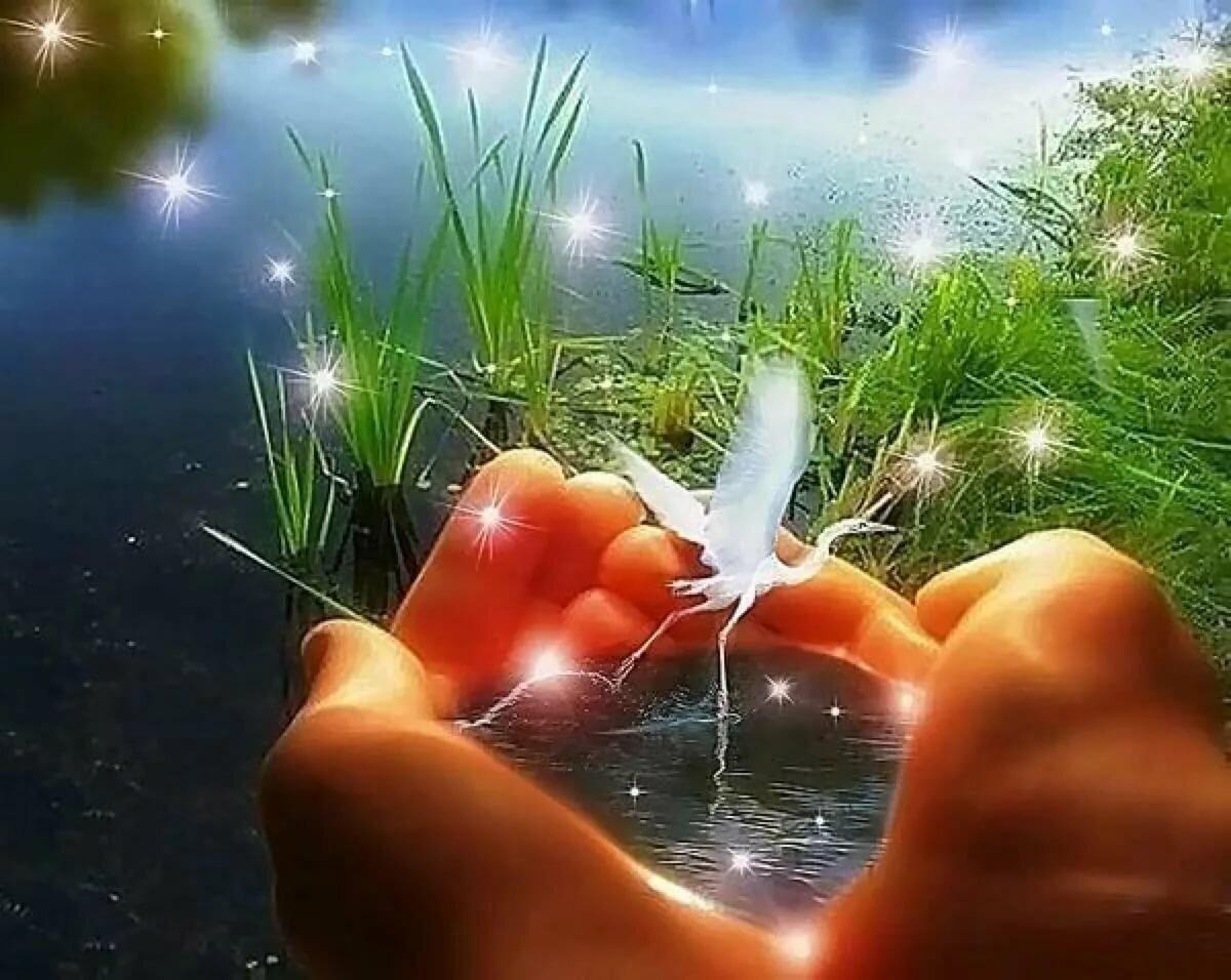 ���������, �������� ������� ����� ���������