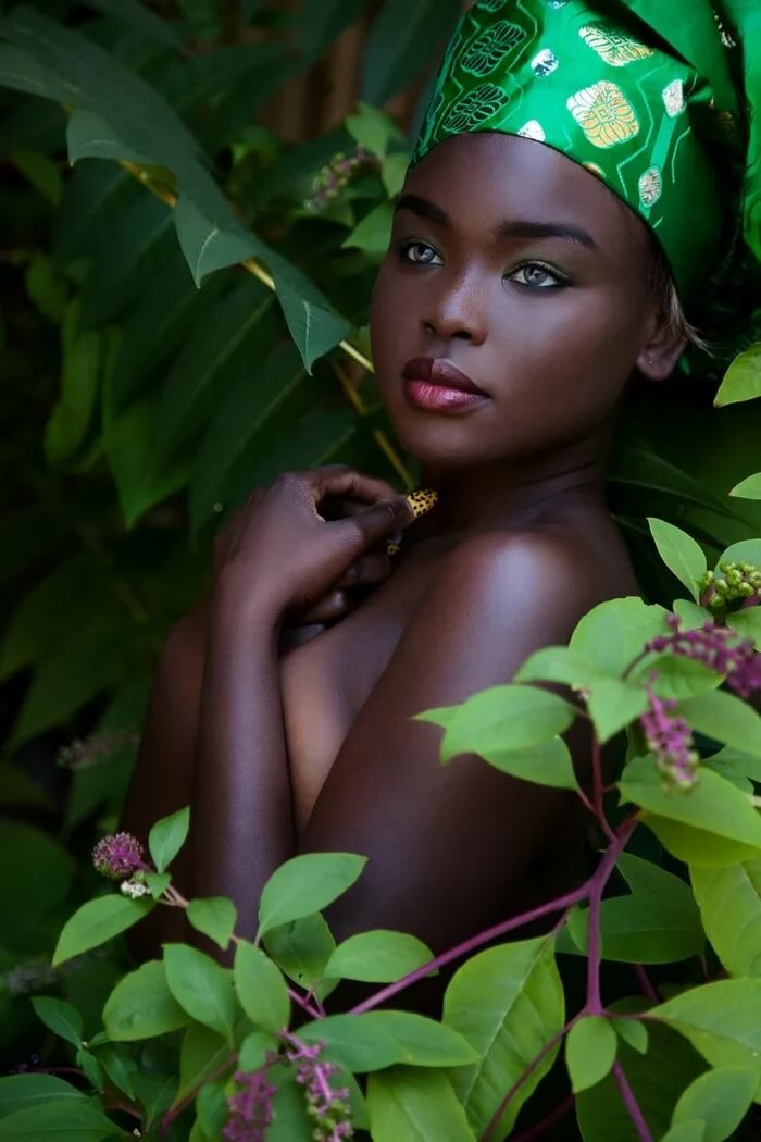 ���������� � �������� �������