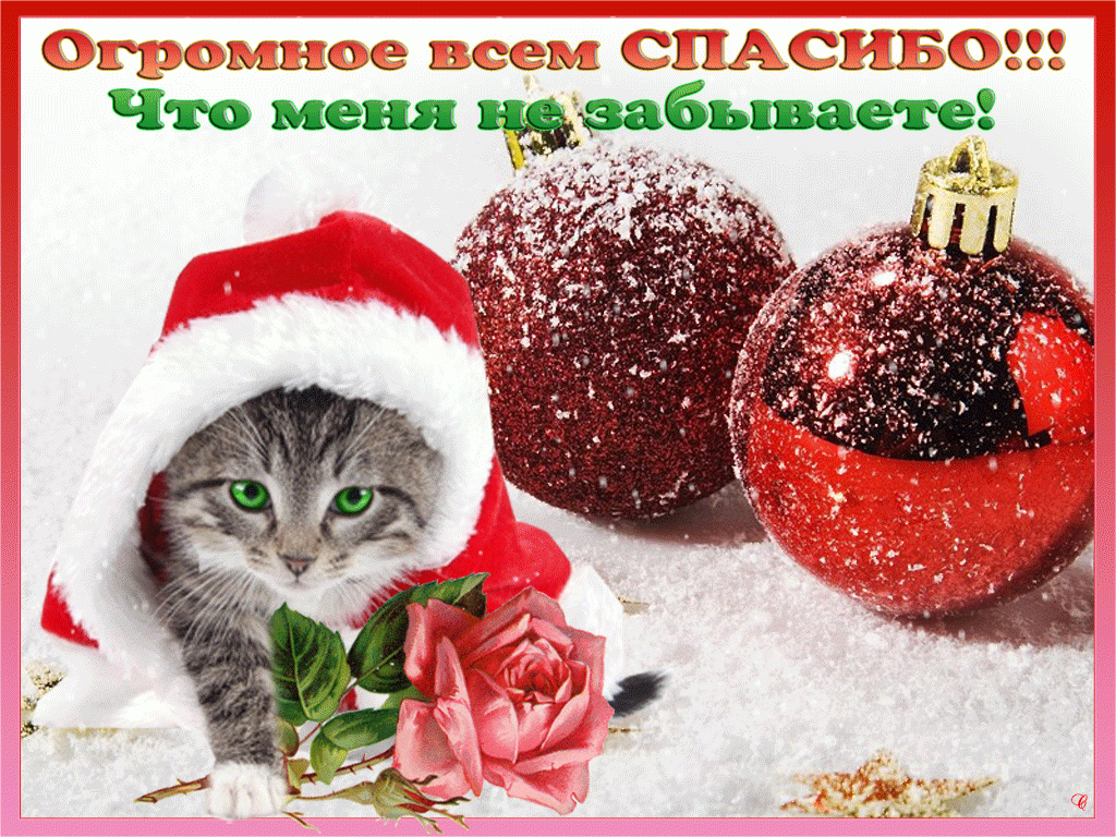 �������� ���� �������� �������, �������