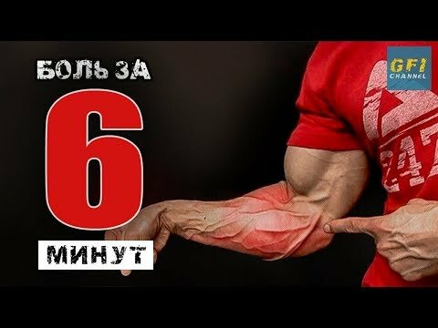 тренировка предплечий фото