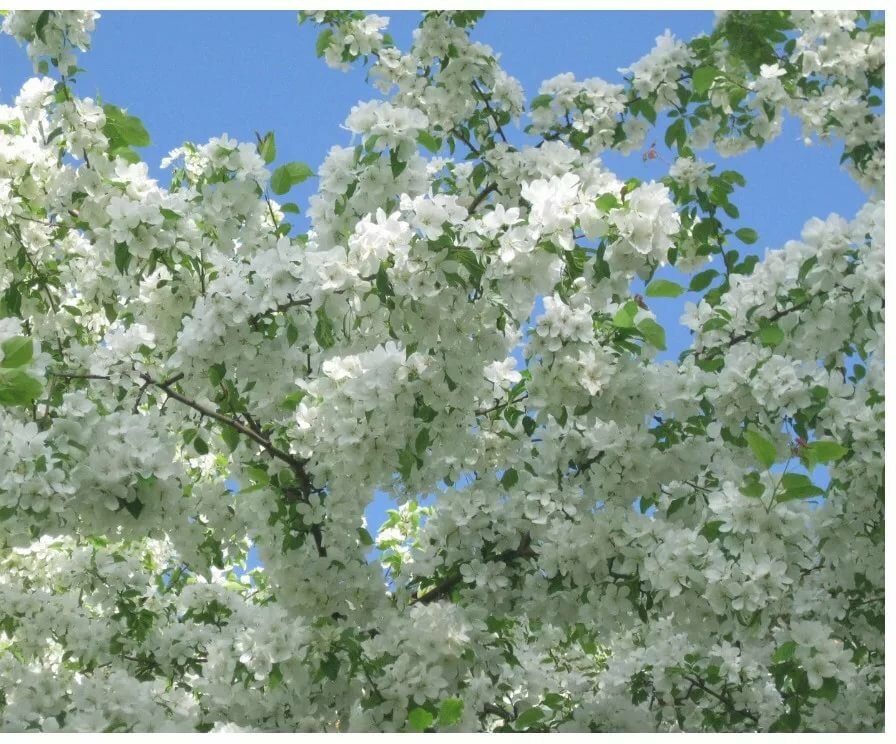 ������ ��� �������� ������ � ����� �����������