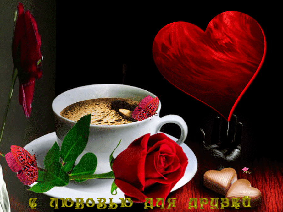 �������� ������ ������ ����