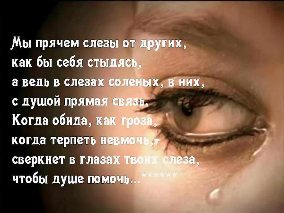 ��������, ������� �� ���� �������� � ���������