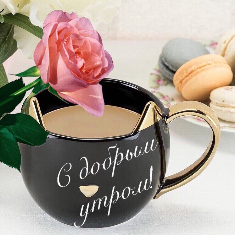 ����, ����� ���������� �������� � ������ ����� ������