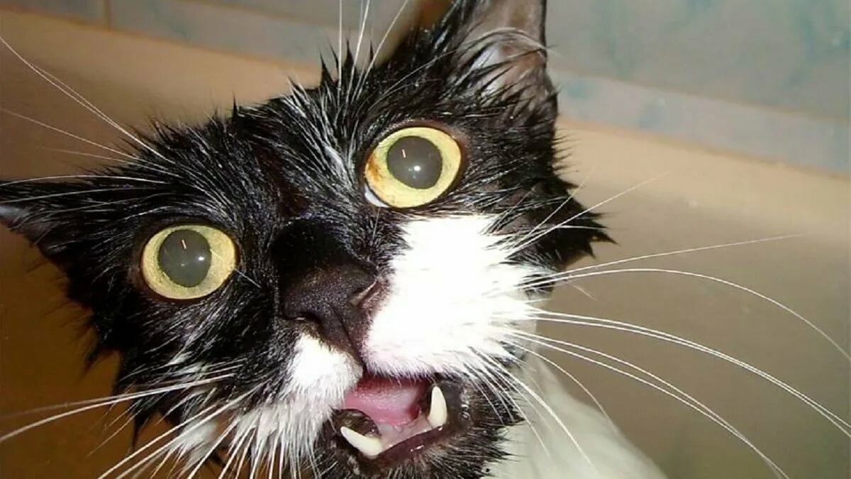 Схожу с ума демотиватор