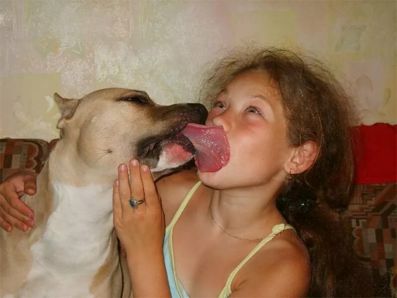 Wife friend fucks dog