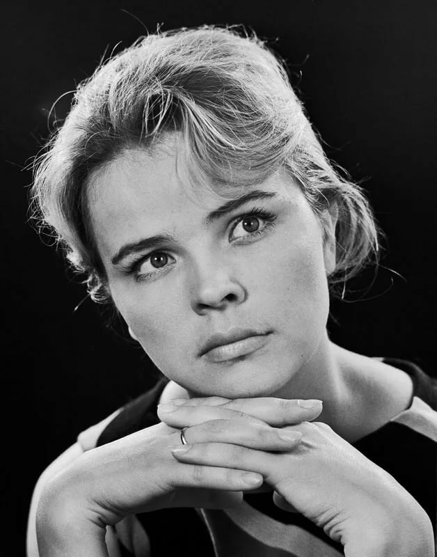 ����� �������� ������� ���������� ���� ���� �����