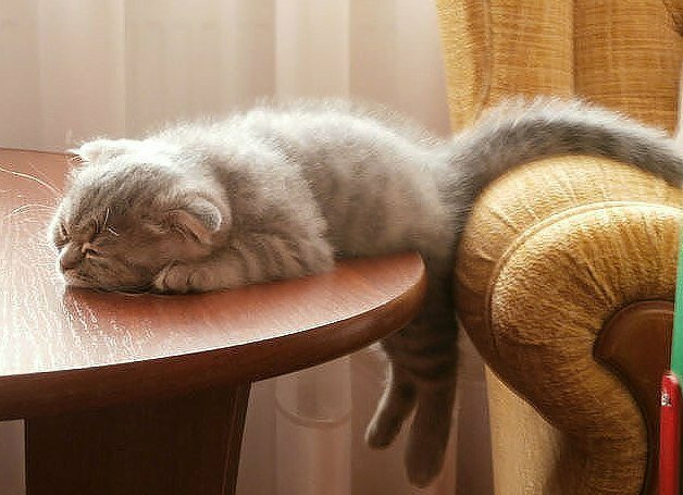 �������� ��� �� �������� ���������