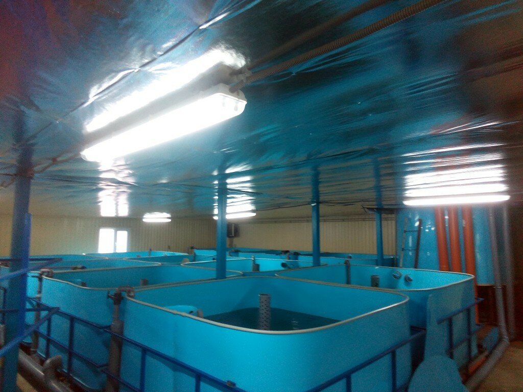 ферма узв фото