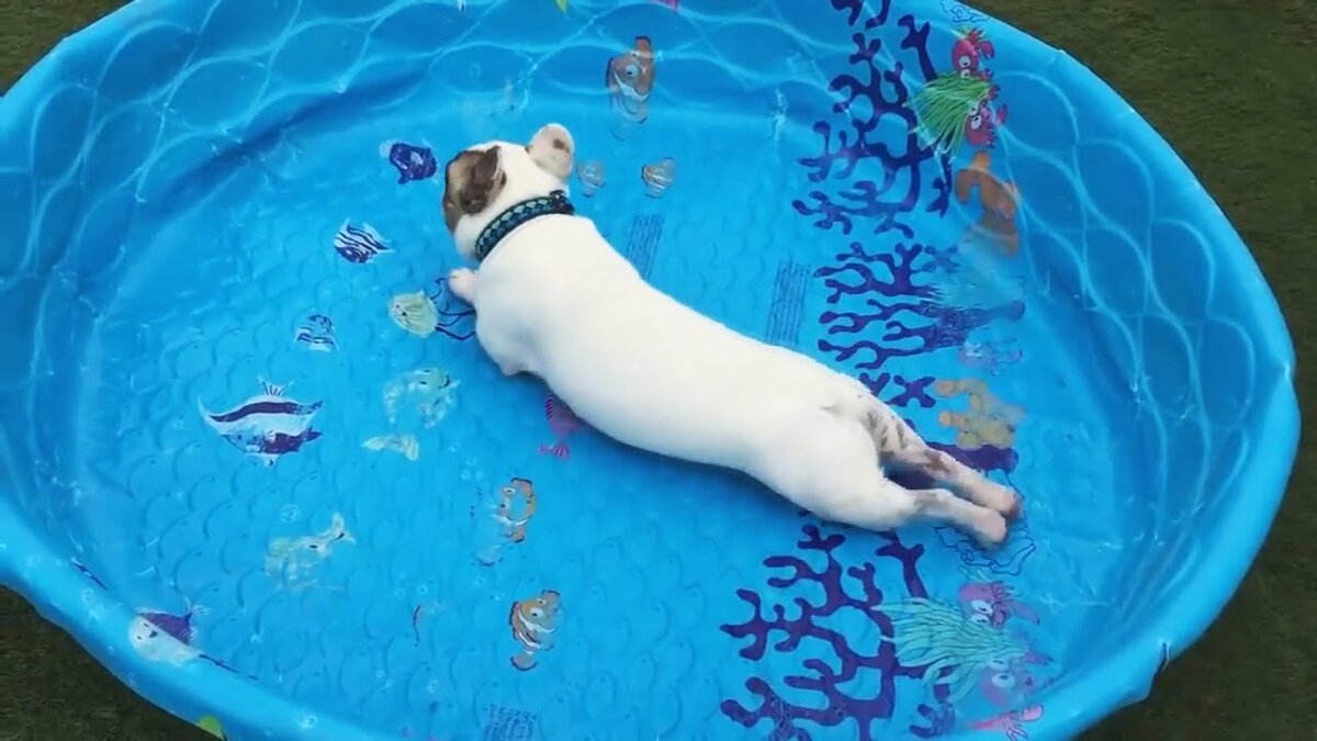 �������� �����, ���� ������� ��� �������� ����� ������� �� ���� � ���������� ����������