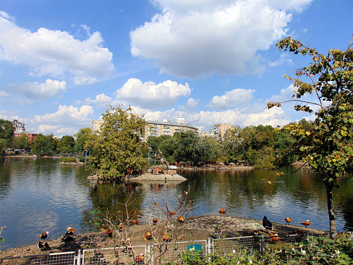 московский зоопарк пруд фото