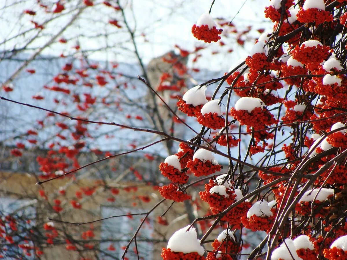 �������� ������ � �����