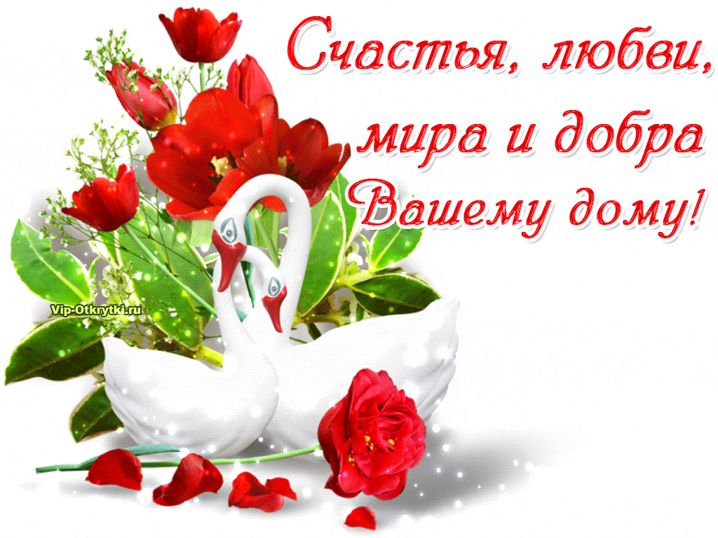 ���� � ����� ��������