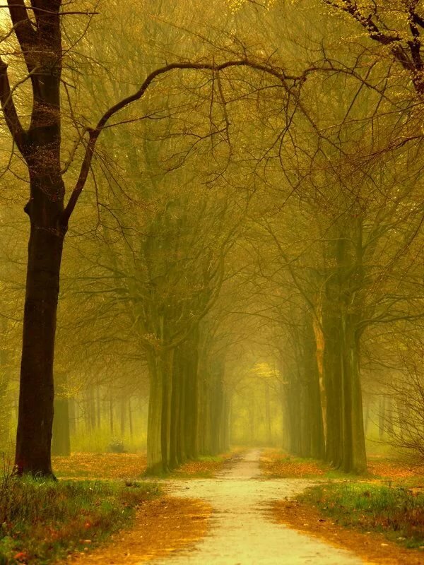 lars van de goor фотографии фото