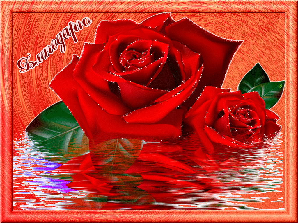 ��� ���������� ��������