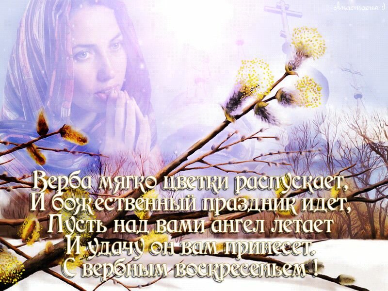 ���� ����������, �������� �������� ������� �����������