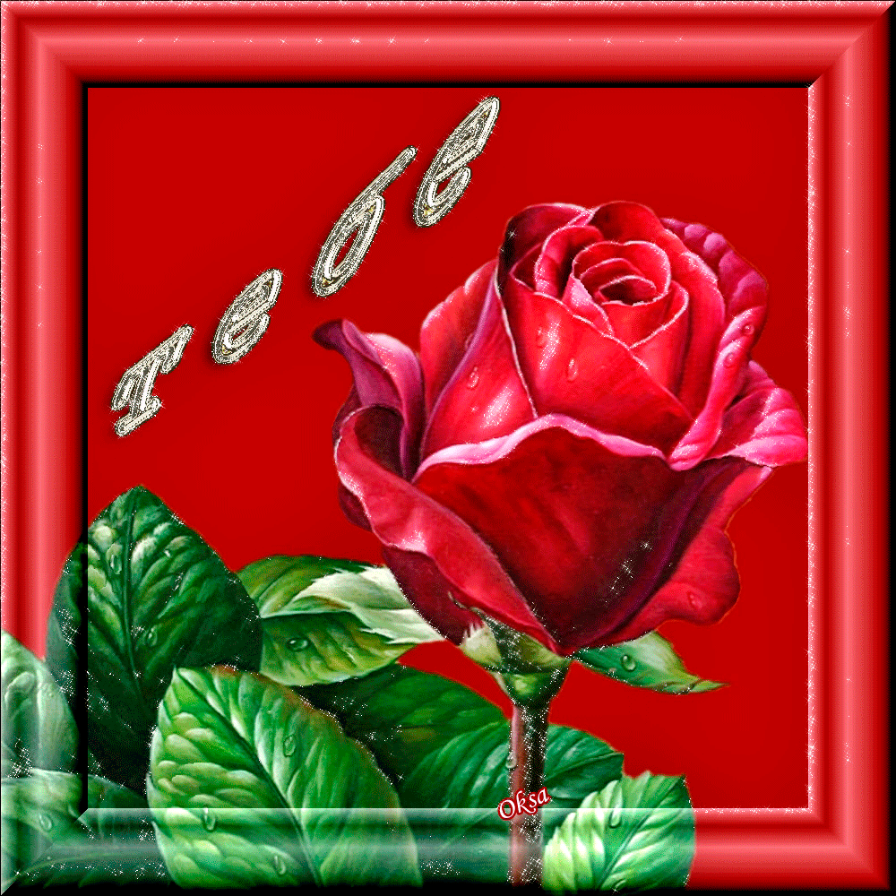 Пожалуйста в картинках красивые