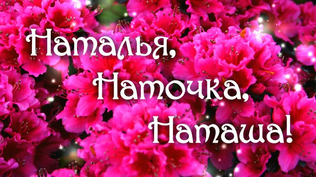 �������� ����� ��� �������