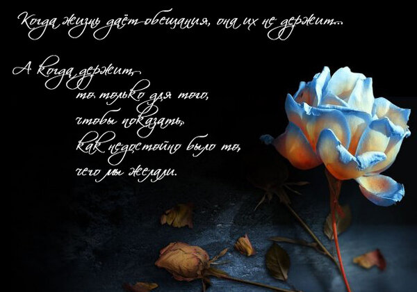 ��������, �������� �������� � ��������