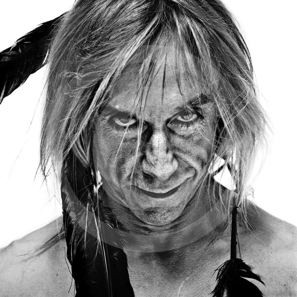 iggy pop albums gga ru