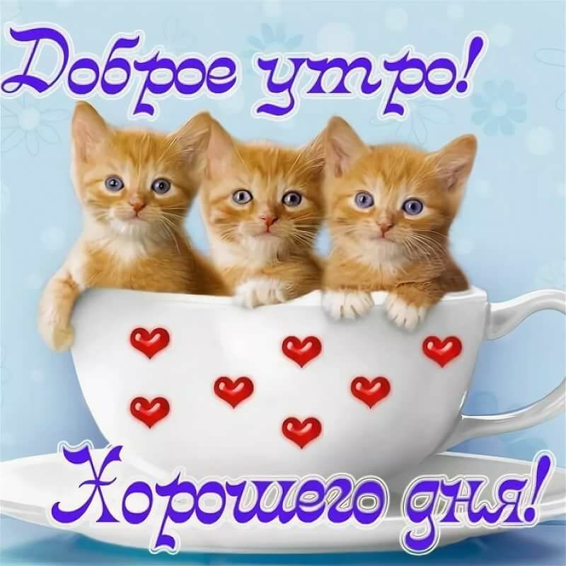 �������� � ����������� ������� ���� � �������� ��� ������� �������