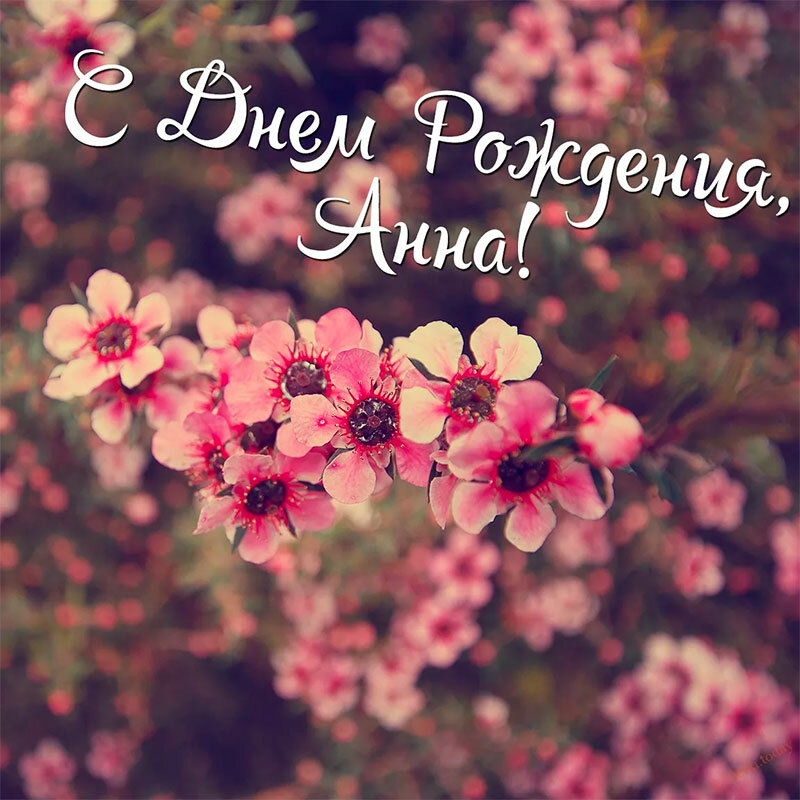 Kartinki Pozdravleniya Ane 6182425 Ru