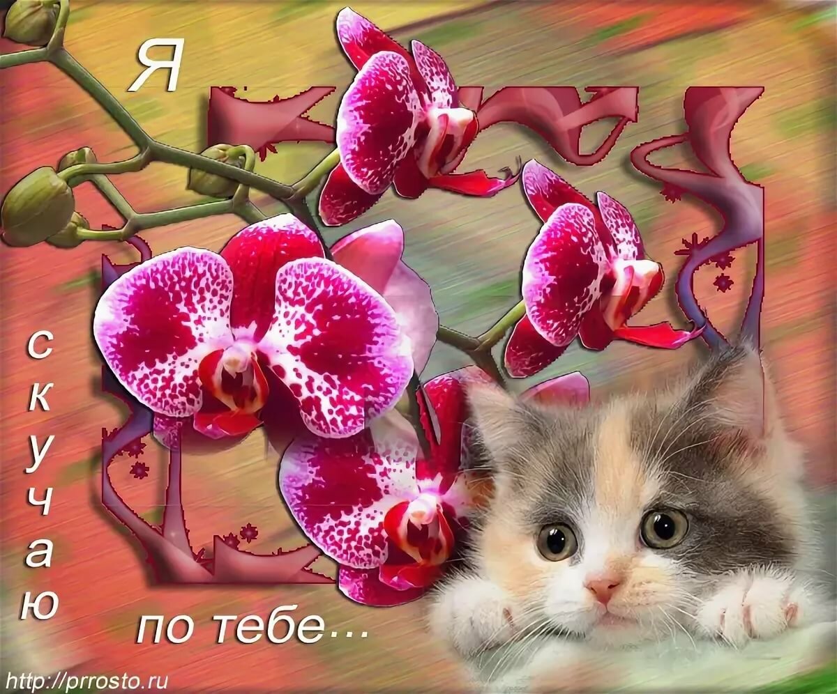 �������� ������ �� ���� ����� ������