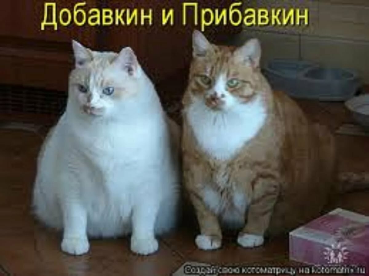 ��� ��������, ������� �������� � ��������� ������ �� ���� ���