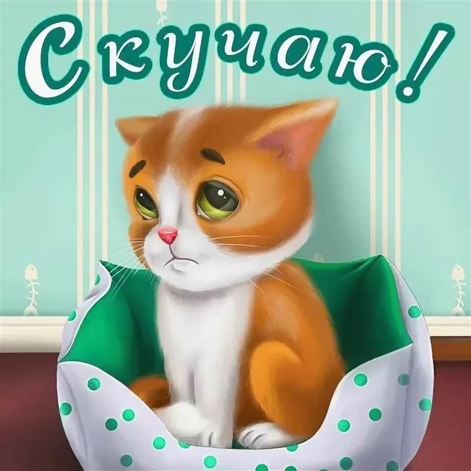 �������� ���� �����������