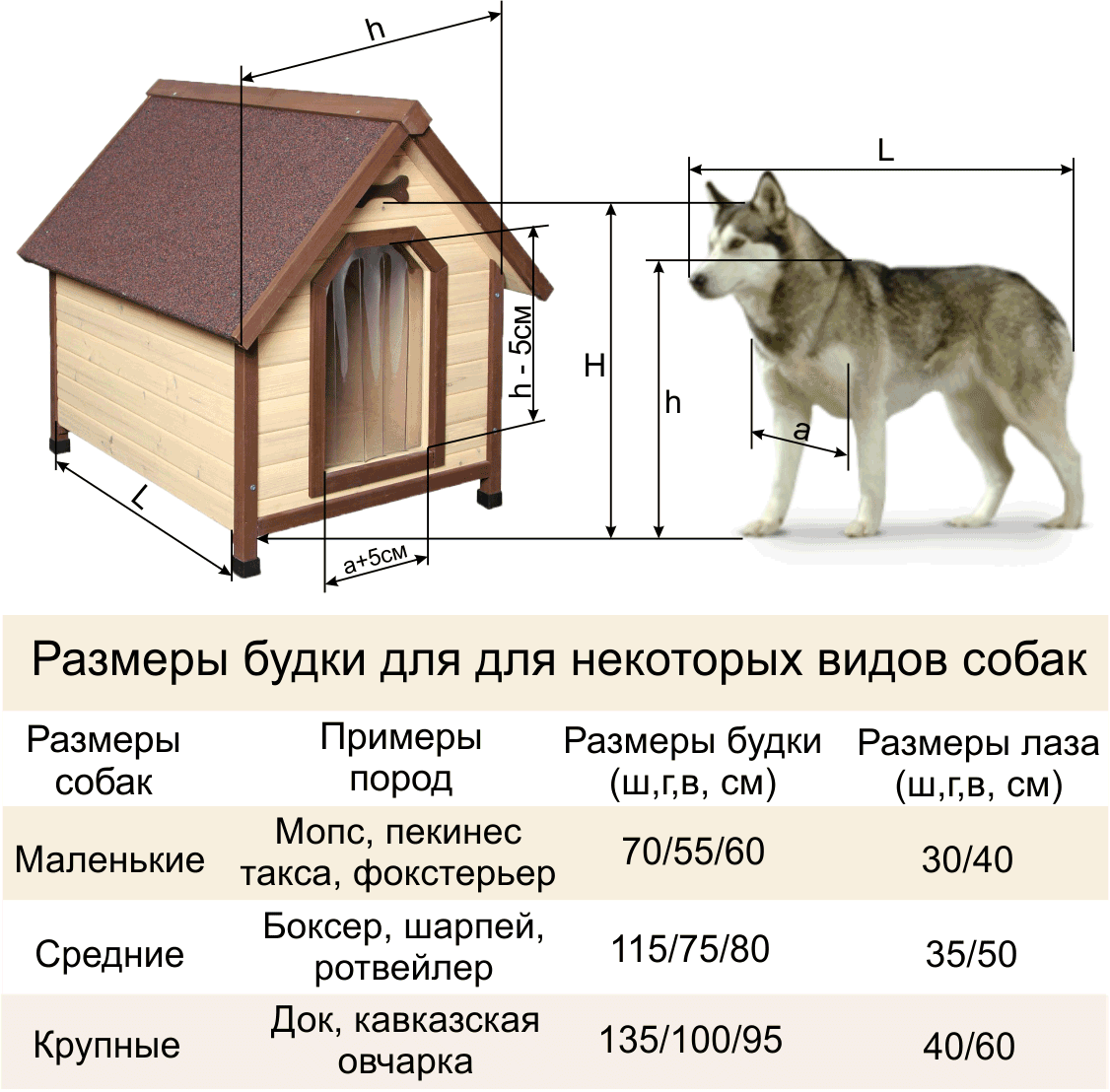 размер будки для спаниеля