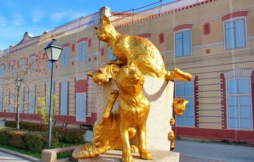 сквер сибирских кошек тюмень фото