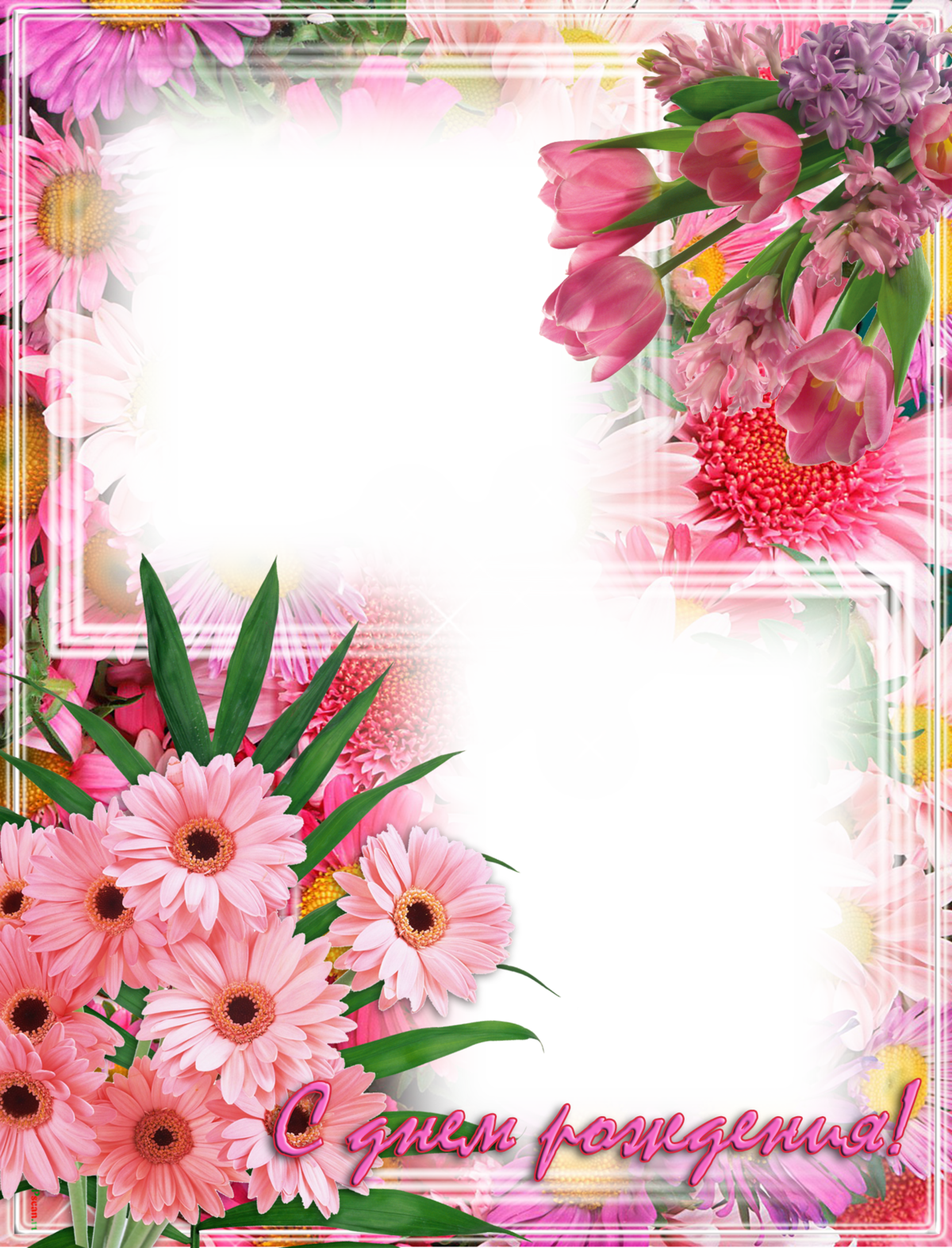 ������� �������� � ���� �������� �������