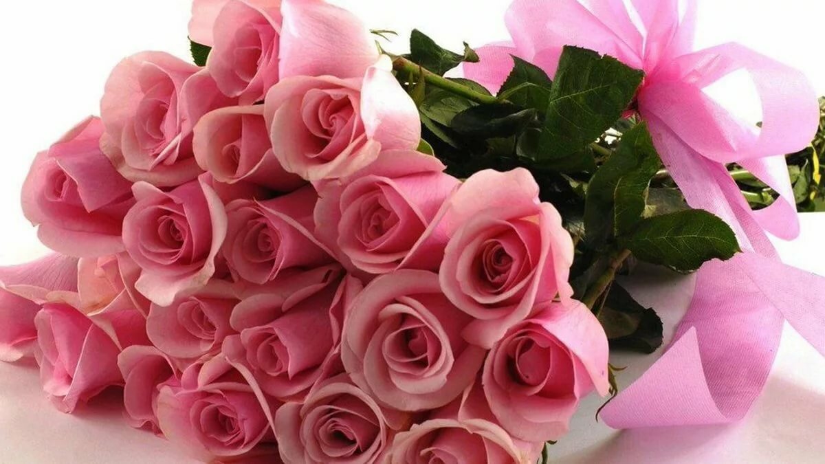 ��������� � ��������