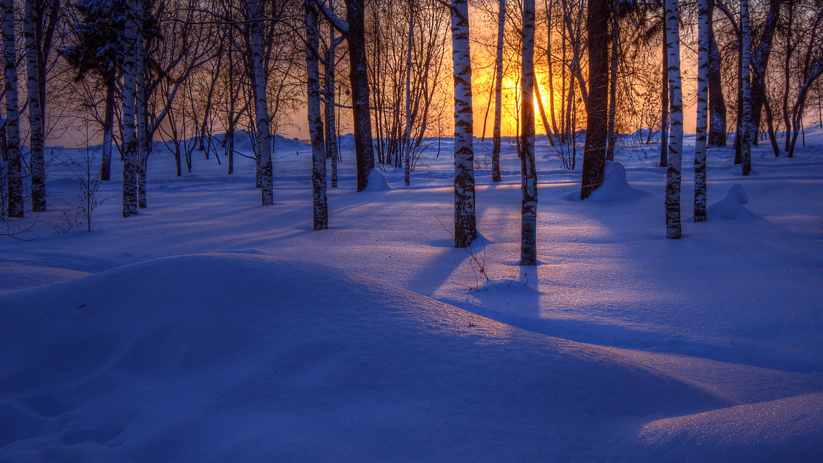 пейзаж зимний фото