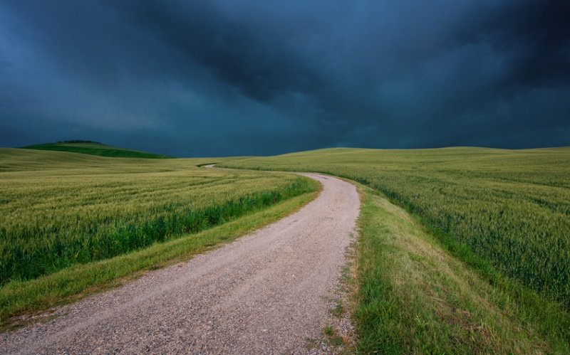 поле дорога фото