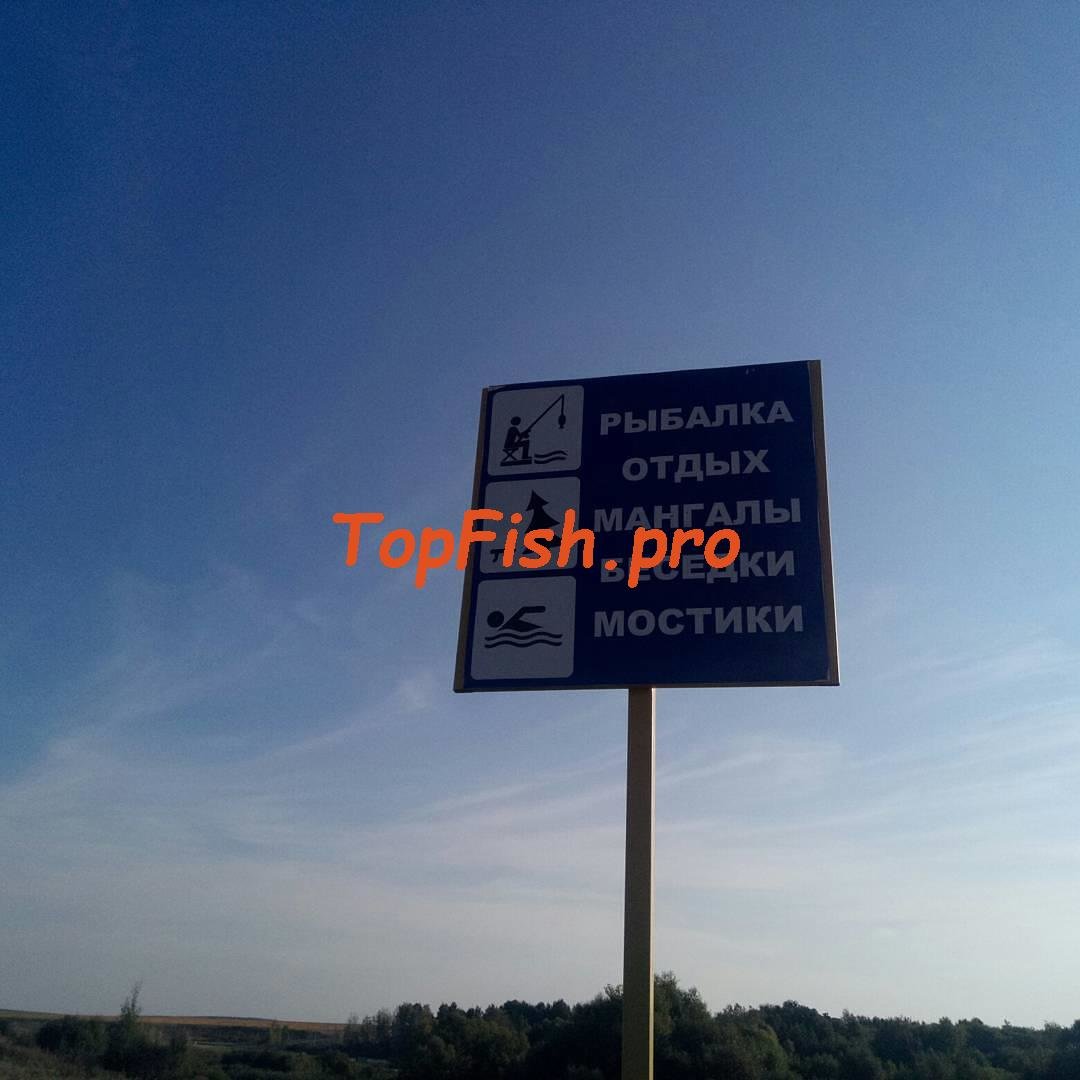 платная рыбалка фото