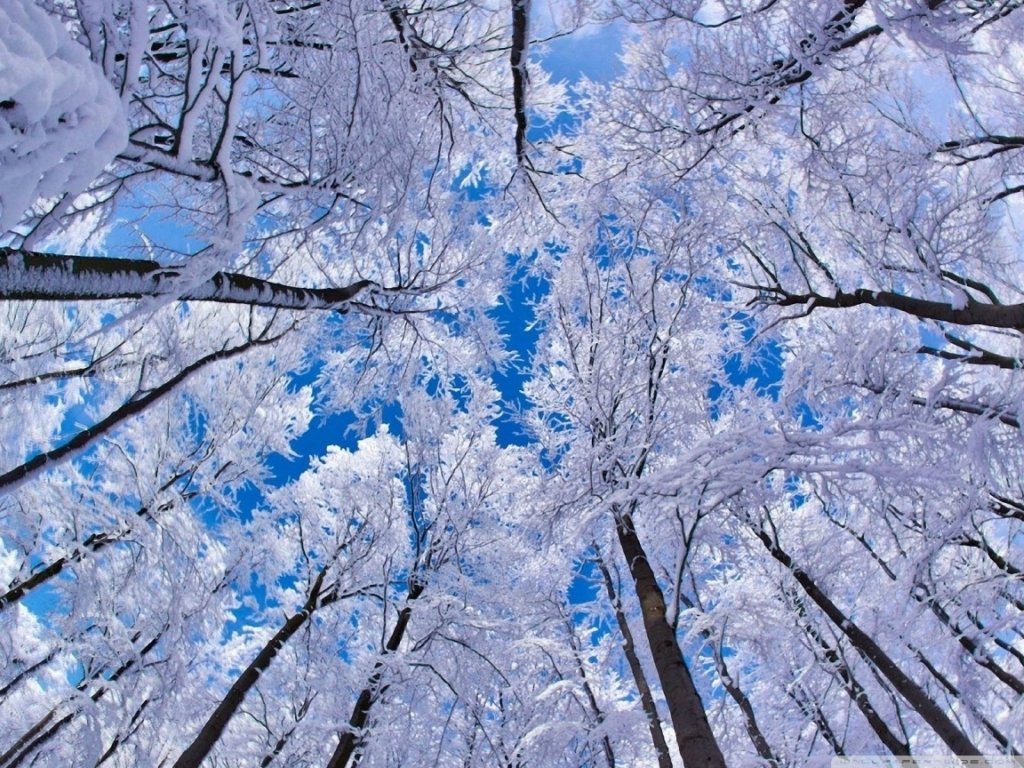 красивая зима фото