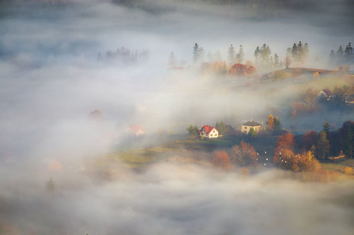 марцин собас (marcin sobas) фото