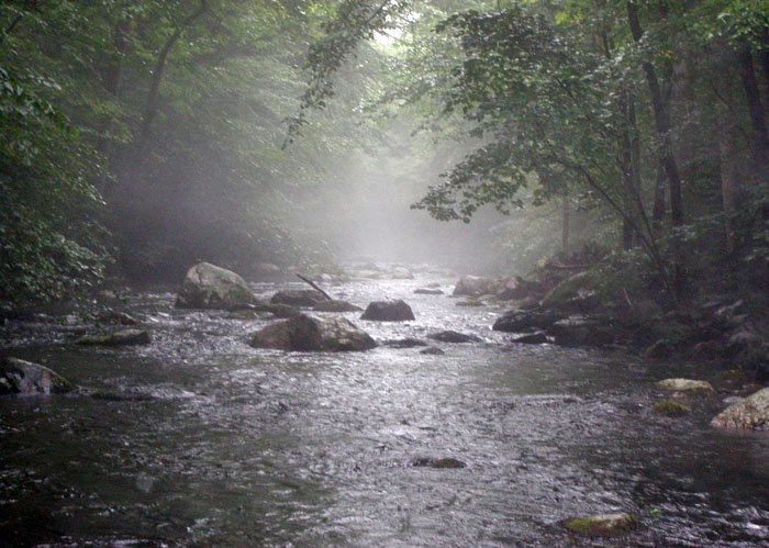 дождь над рекой фото