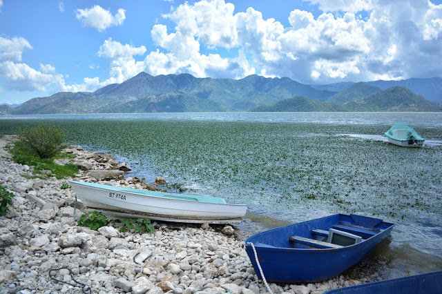 лодки скадарского озера фото