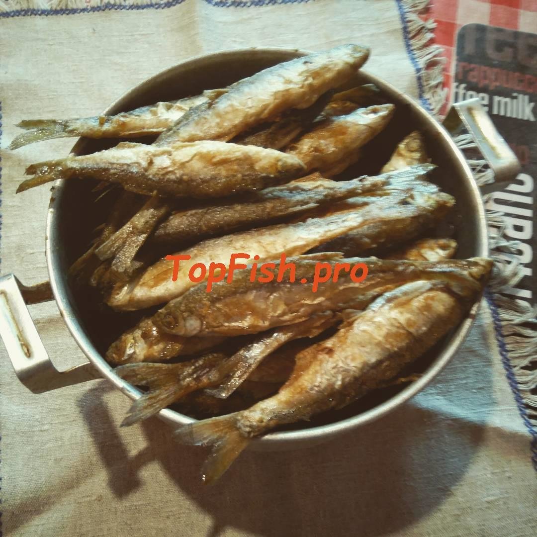 жареная корюшка фото
