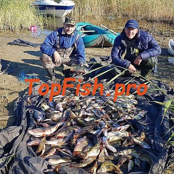 рыбалка в дельте волги фото