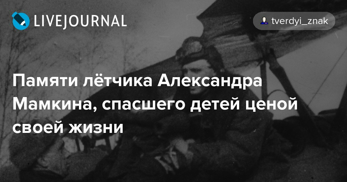 подвиг александра мамкина летчика фото