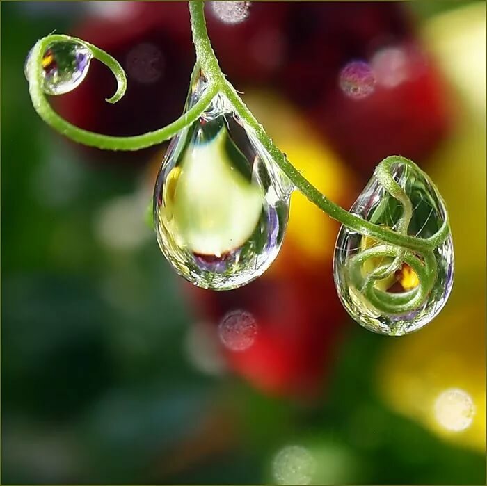 �������� �������� �������� ������� ��� �������� ����, ��������