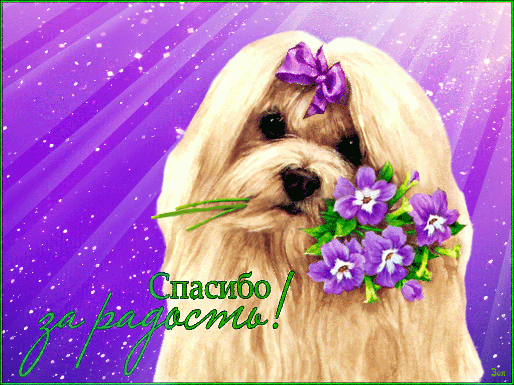 �������� �������� ������� �� �������