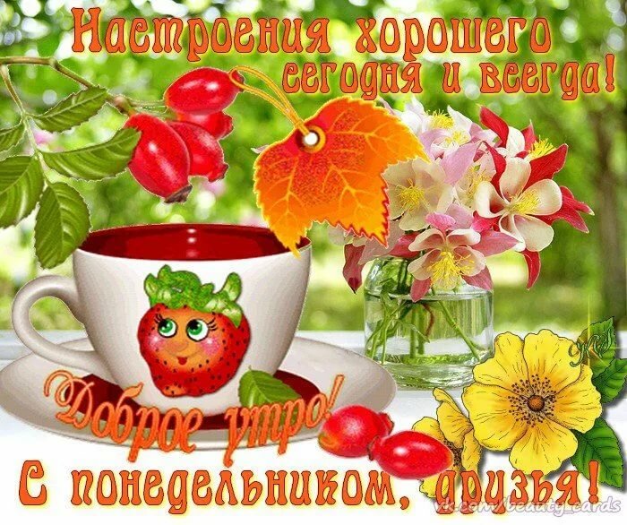 �������� � ������ ����� � ��������� ������������, ����