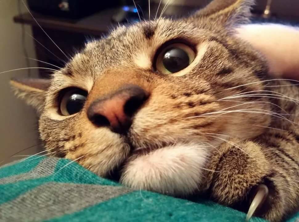 �������� ���������� ������� ����, ��� ������ ��������